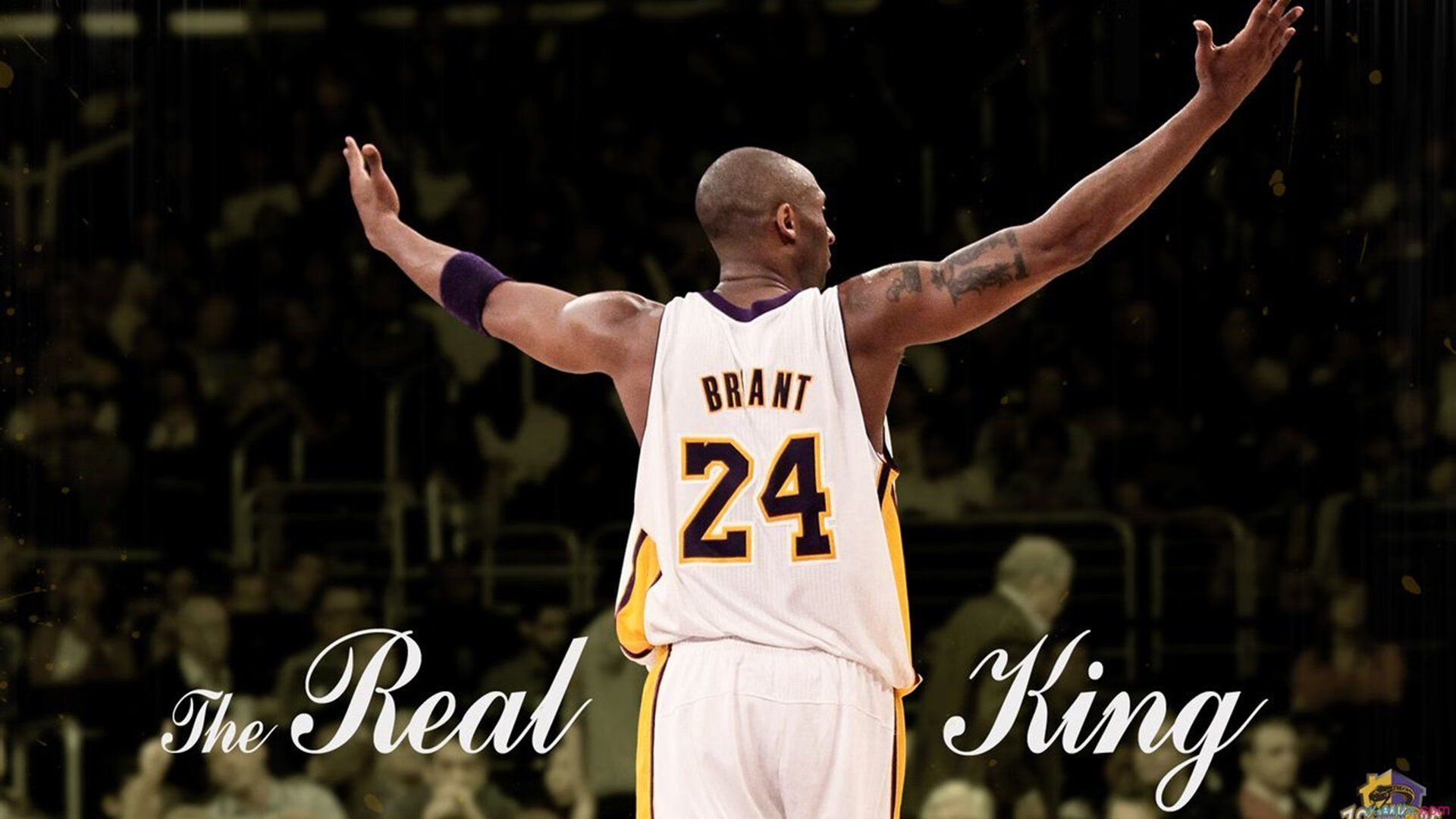 迪马利亚的羽翼，当智利樱花在绿茵场同时绽放