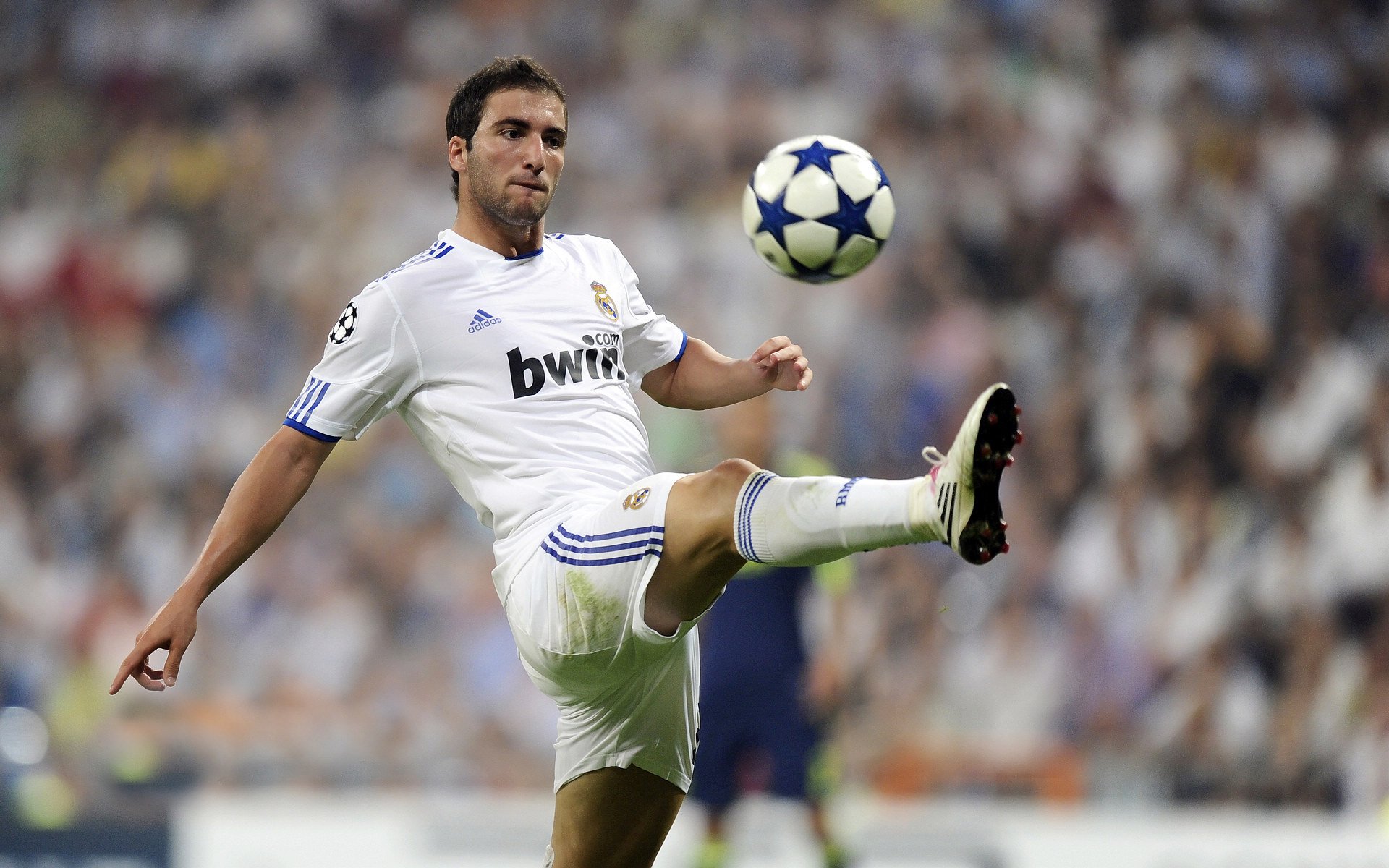 武切维奇，戈壁孤杨，扛起整片江南的天空