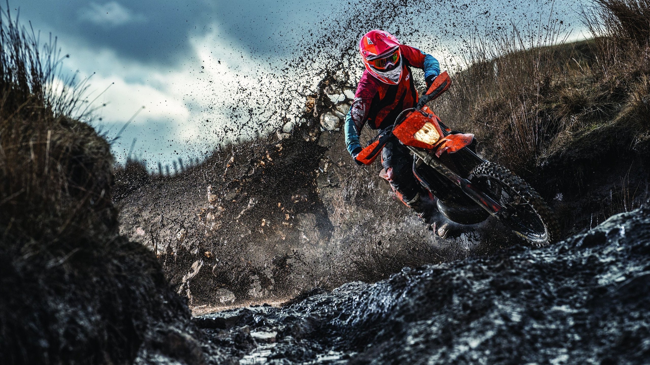 克瓦拉茨赫利亚，当格鲁吉亚的月光，照亮莱比锡的夜空